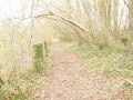 Chemin de la Fraiche