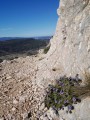 La Sainte-Victoire durch das Gestein von Clapier