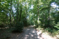 Chemin de la Mare des Eaux