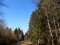 Chemin de la montée