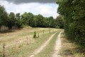 Chemin de la Prêle