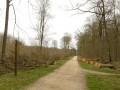 Boucle de Dourdan en passant par l'Abbaye de l'Ouye