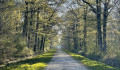 Chemin de la Queue d'Auneau