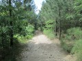 Chemin de la randonnée Chemin de la randonnée