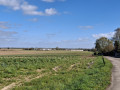 Chemin de la Sente aux Loups