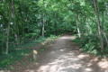 Chemin de la Table d'Orientation de Dommartemont