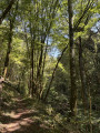 Vallée de la Jouyre