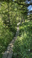 Chemin de madriers