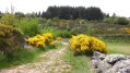 Chemin de montée à St Sabin