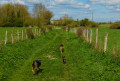 Chemin de paturage