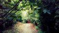 Chemin de Péchabé
