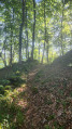chemin de Petraube