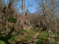 Chemin de Peyni