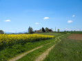 Chemin de pierre