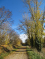 Chemin de plaine