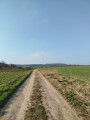 Chemin de plaine