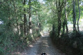 Chemin de Rabotou