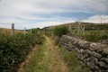 chemin de rando en revenant d'Aurelle