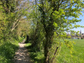 Chemin de randonnée