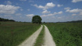 Chemin de randonnée