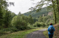 Chemin de retour verdoyant