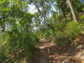 chemin de retour