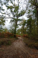 Chemin de sable