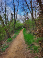 Chemin de Sacuny