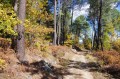 chemin de Saint-Julien aux Taillades chemin de Saint-Julien aux Taillades