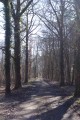 Chemin de Sologne
