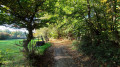 chemin de sous bois