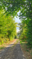 Promenade à Oermingen et alentours