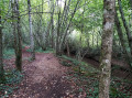 Chemin de terre longeant le Gourmerault