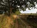 Chemin de terre près du Petit Cougour