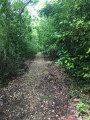 chemin de terre chemin de terre