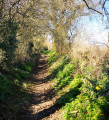 Le Bois de la Boulaie