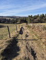 Chemin de Terre