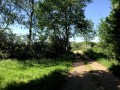 Chemin de terre