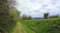Chemin de terre