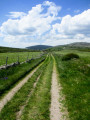 Chemin de transhumance