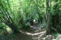 Chemin de Villeserin