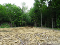 Chemin défoncé