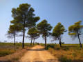 Chemin départ