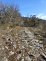 Chemin des ânes
