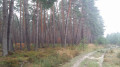 Chemin des Boeuf en hiver