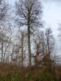 Chemin des Carrières