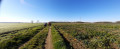 Chemin des Cavaliers