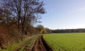 Chemin des champs Chemin des champs