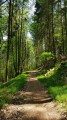 Chemin des Châtaigners Chemin des Châtaigners