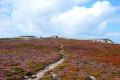 Chemin des Douaniers Chemin des Douaniers